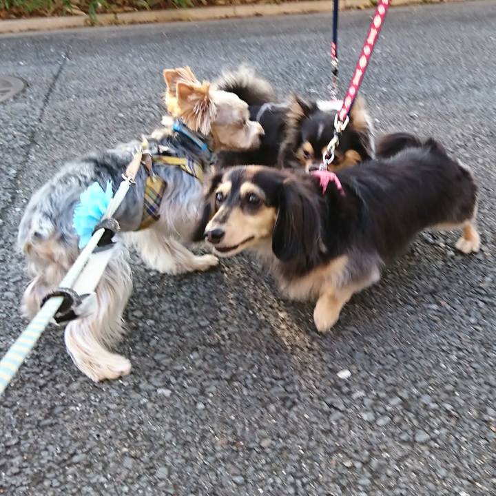 2cccc440 f2c5 4556 9c69 a210cf023eff 1552873479127