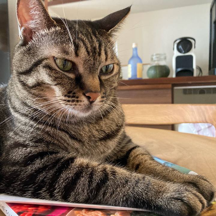 2ccd09e6 6830 4fa7 875e b37aa8288399 1629513443486