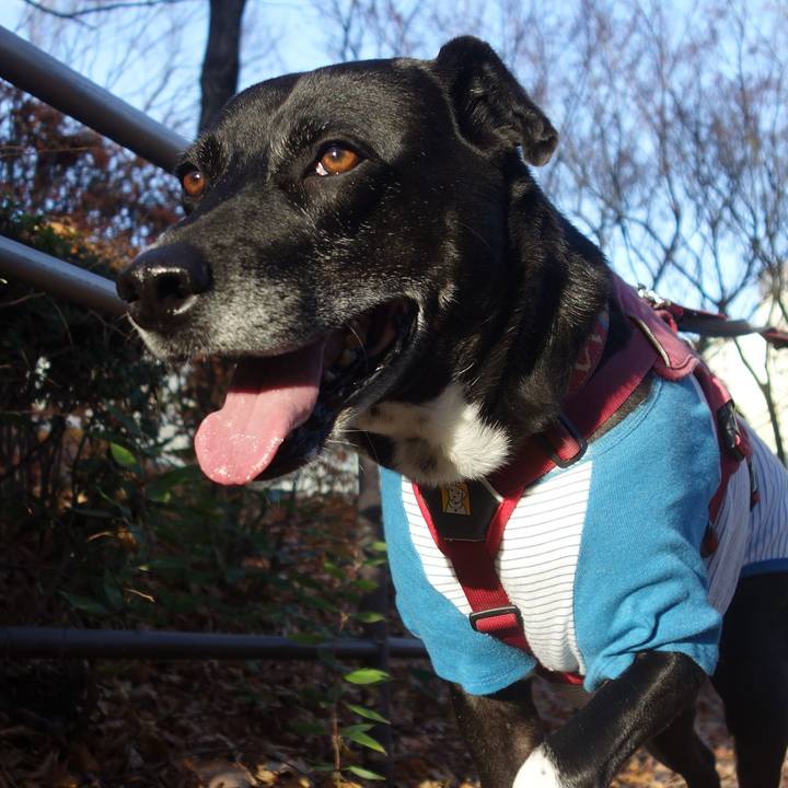 2ccd136b 3fb4 425c 89dd 100bf608f7f0 1702774408207