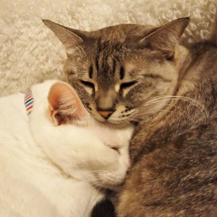 2ccd163b 01d9 4dc9 b1b1 75e301ec4c7f 1611833882779