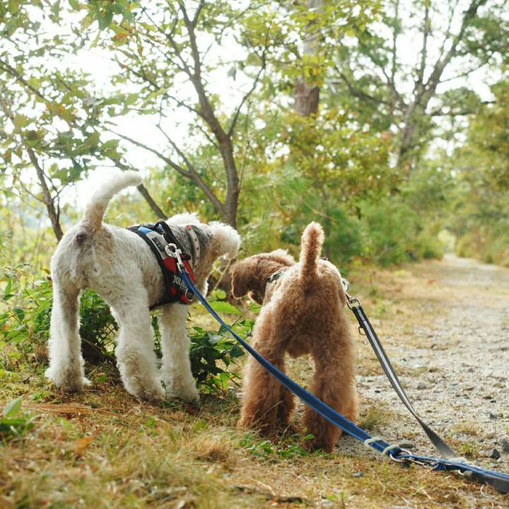 2ccd237c 9d06 47f1 9b6e 4cd812c83f41 1534056090889