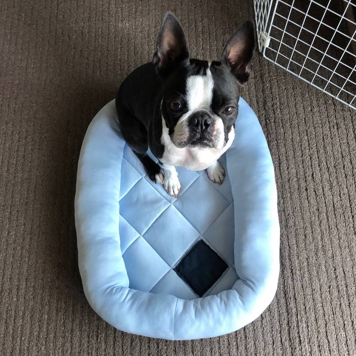 2ccd2ba5 fb42 445b 8299 b9234cd17edd 1558764127270