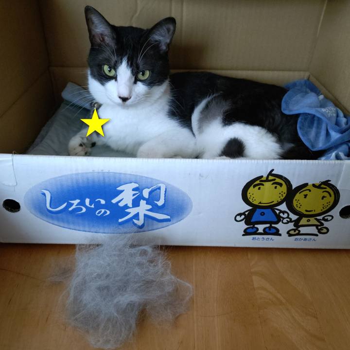 2ccd7773 1fc8 4103 90e2 d98f5394cd92 1757897690232