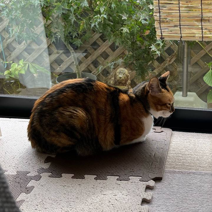 2ccdbab5 6ac6 4dd0 b61f 65f1cf22af60 1762303720274