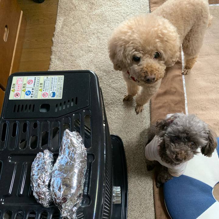 2ccdd404 9388 46e3 9ae5 b85b91c21c5f 1574146518680