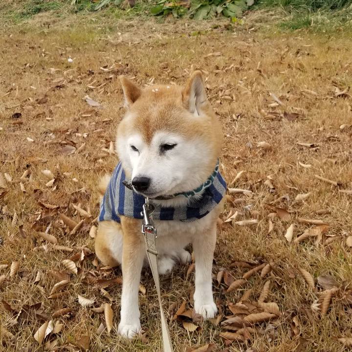 2ccddc2a 57df 46eb a229 2d87fb1fe031 1702870110259