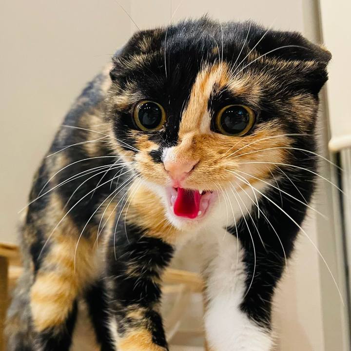 2ccde069 19b1 4bc2 940b 90a7a2951800 1634822364520