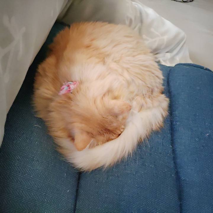 2ccdefc8 30d0 4c18 8c66 4fbc57822042 1673000498102