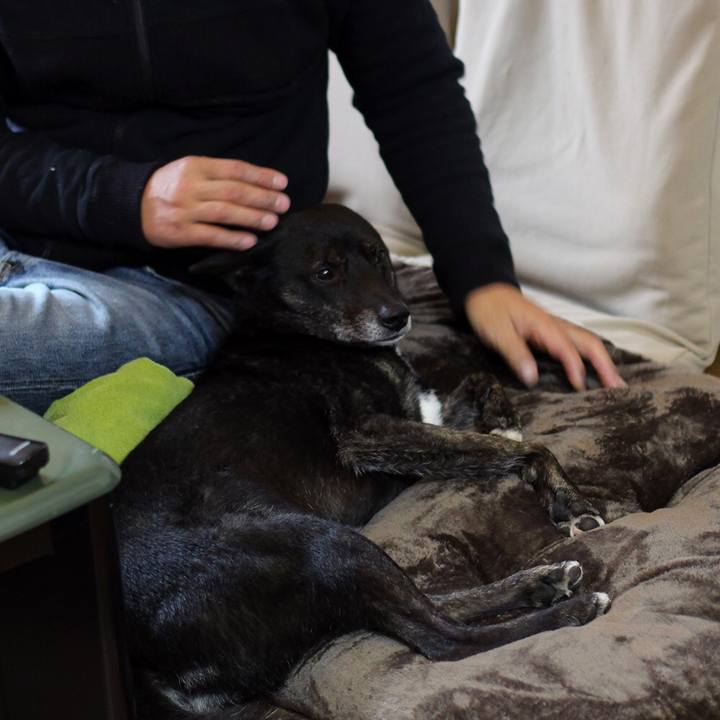 2ccdf9f1 2460 494c bc7d 7af2ccfffbb3 1612481632375