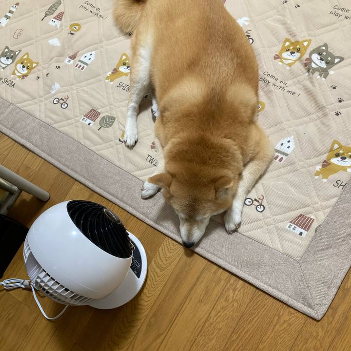 2cce26be 5fef 4a39 9a18 d45cd23c1704 1624288641377