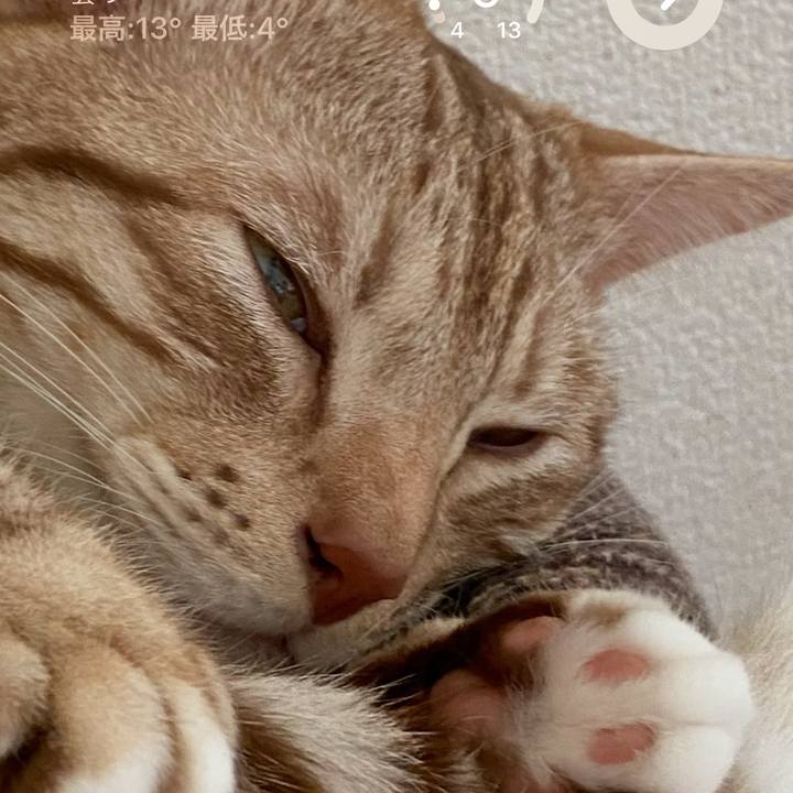 2ccee846 7496 462a 8919 a745d7b80966 1675717436967