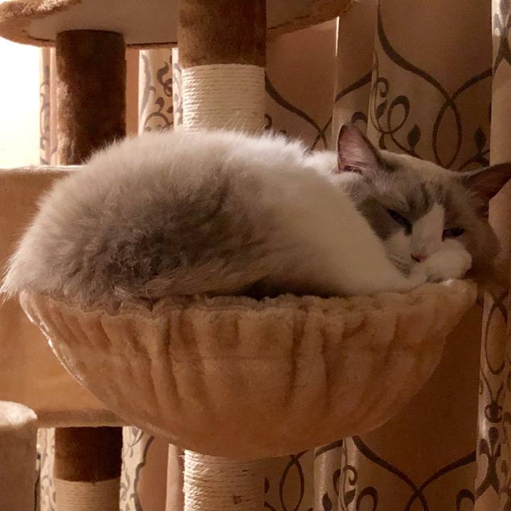 2ccef1b1 a8a5 40a6 9682 d9984d1c799f 1571063351912