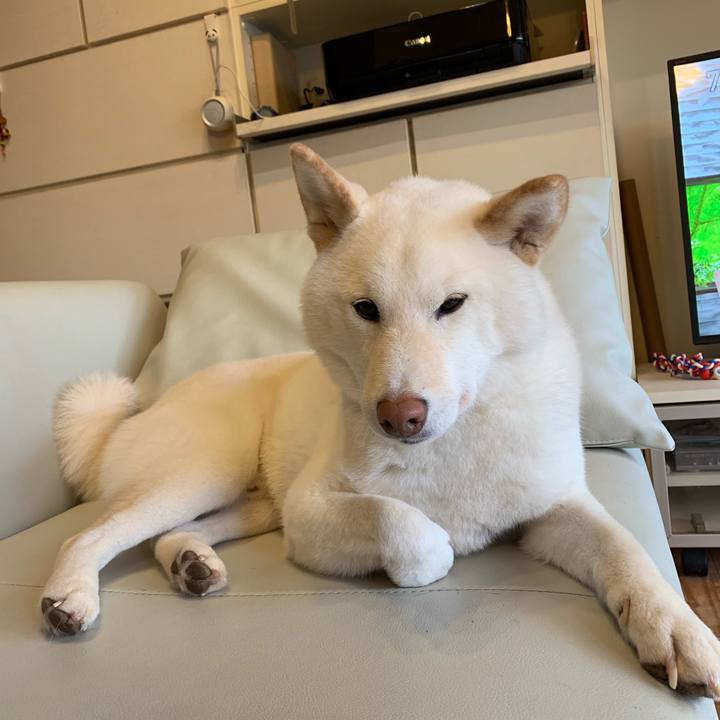 2ccf00b0 b4f3 44da 8875 b885a7fdd099 1551571658602