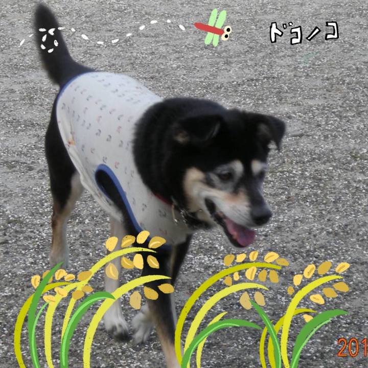 2ccf1467 3366 407e b930 3d6d64d0faae 1761634680502