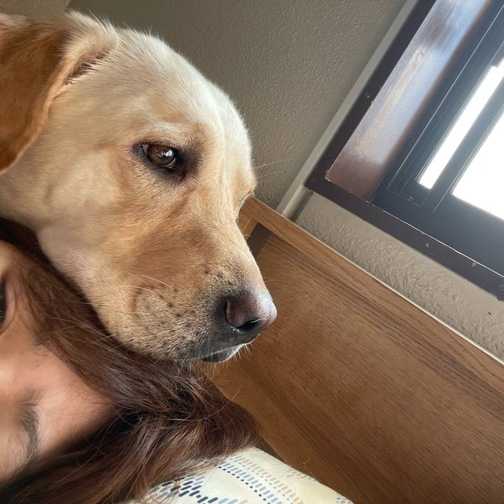 2ccf1496 6deb 4473 b159 42f4f8f1a805 1695862823957