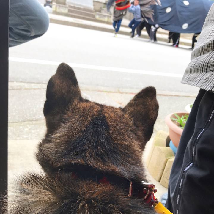 2ccf1911 2281 49e6 98b3 08b4e63db6dc 1508120052755