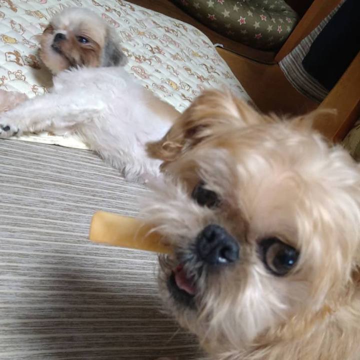 2ccf75df 594c 4299 8c2b d12bc267e11e 1613528393082