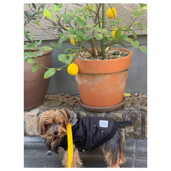 2ccf8806 bfd7 4a9b 8b60 faebf7737056 1543012274089