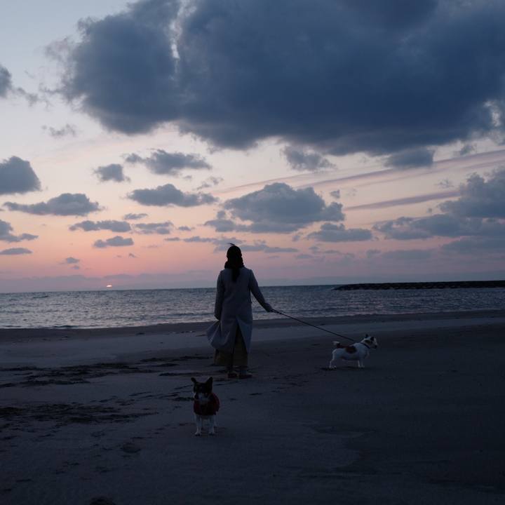 2ccfe038 c4c9 4c7f 8782 69fb8ed2d887 1552799509746