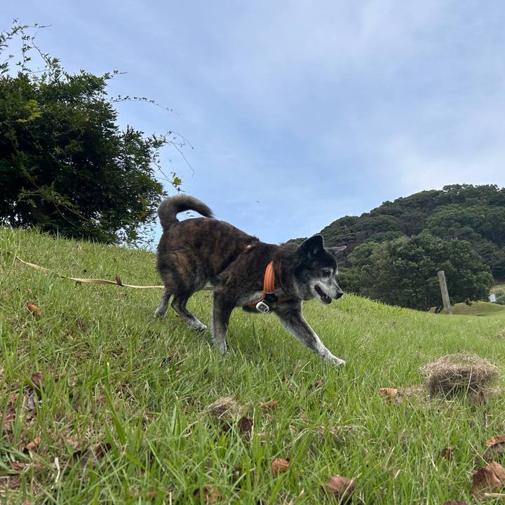 2cd01f8f f15e 429b 98f0 312a84002c88 1764287267502