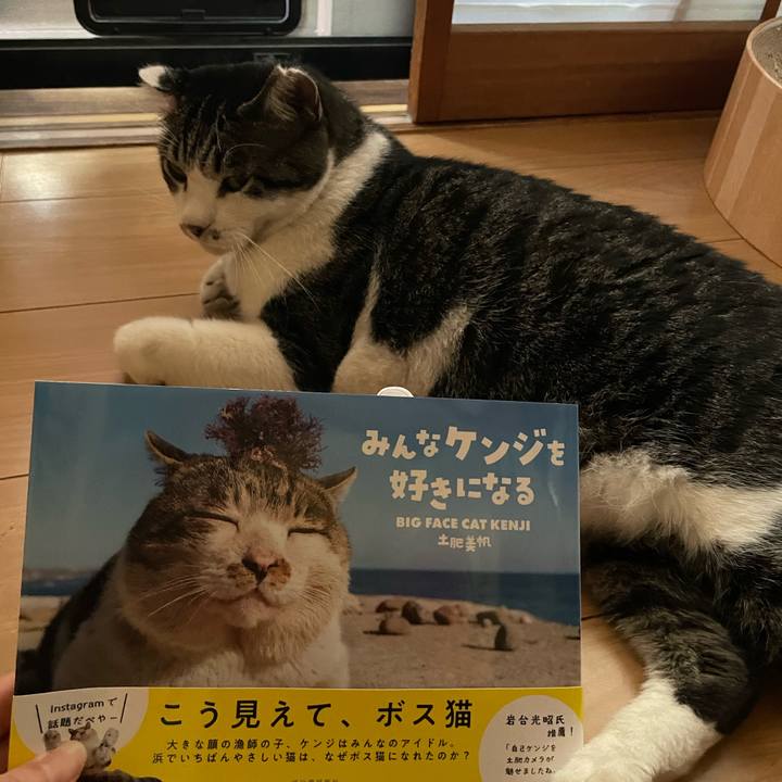 2cd0444f 08f8 4670 a42e 70ddf928fa08 1660900156752