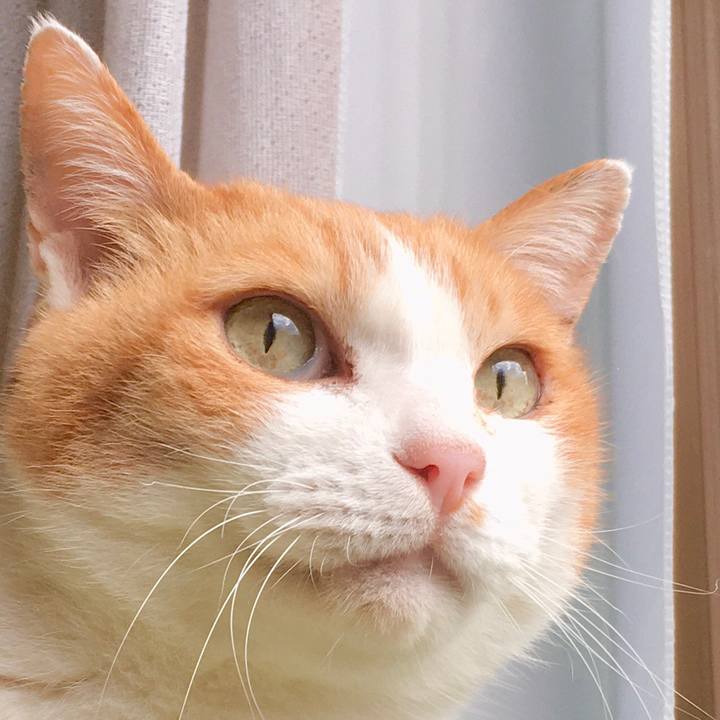 2cd08568 b4c5 4521 98ec 48a834eac321 1583135414273