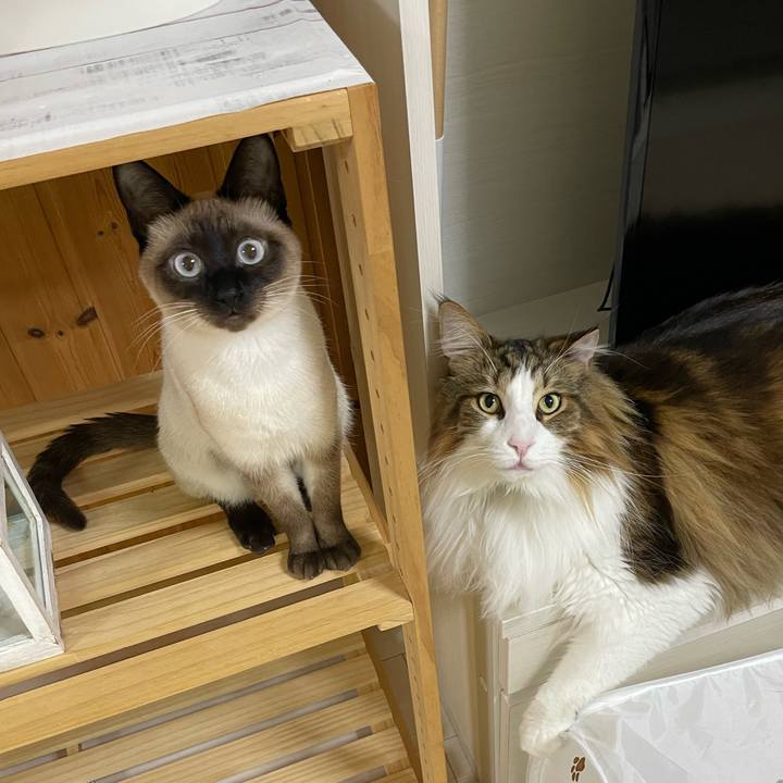 2cd08bc9 c5d2 4155 8caf df4560461f68 1709755004251