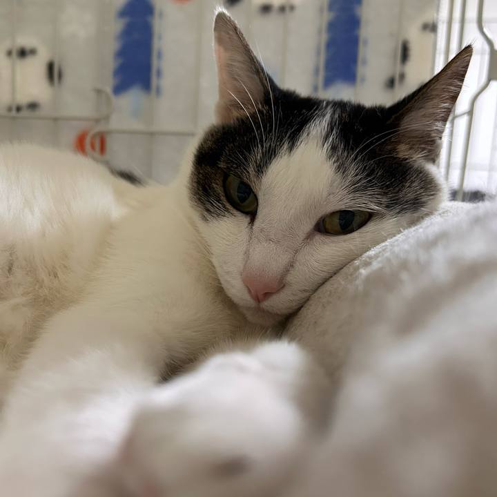 2cd091ce 21d8 4206 895d da674071078a 1751540566712