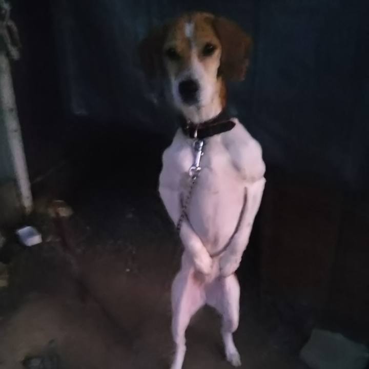 2cd0e58a 6693 4eb7 9888 c3d721dbf6ab 1644570629168