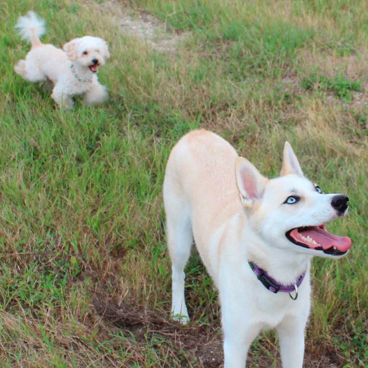 2cd0e85c 8d2f 4fbd 9f45 16e38dbe0429 1532989274890