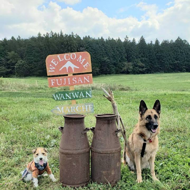 2cd18d0c 0ab2 4030 a29f dd70d09756d0 1633751910421