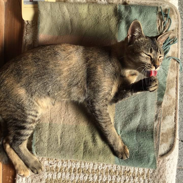 2cd18e64 2738 4854 9415 bb22af7c23c7 1576123794086