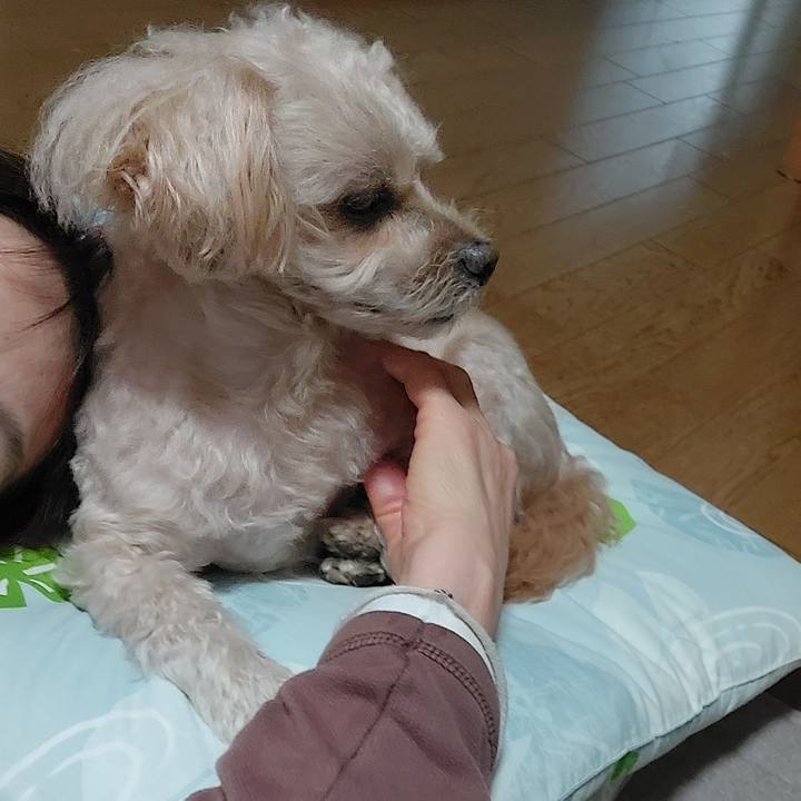 2cd1964b 9423 44fb bb29 69b0054ccbea 1699503862340