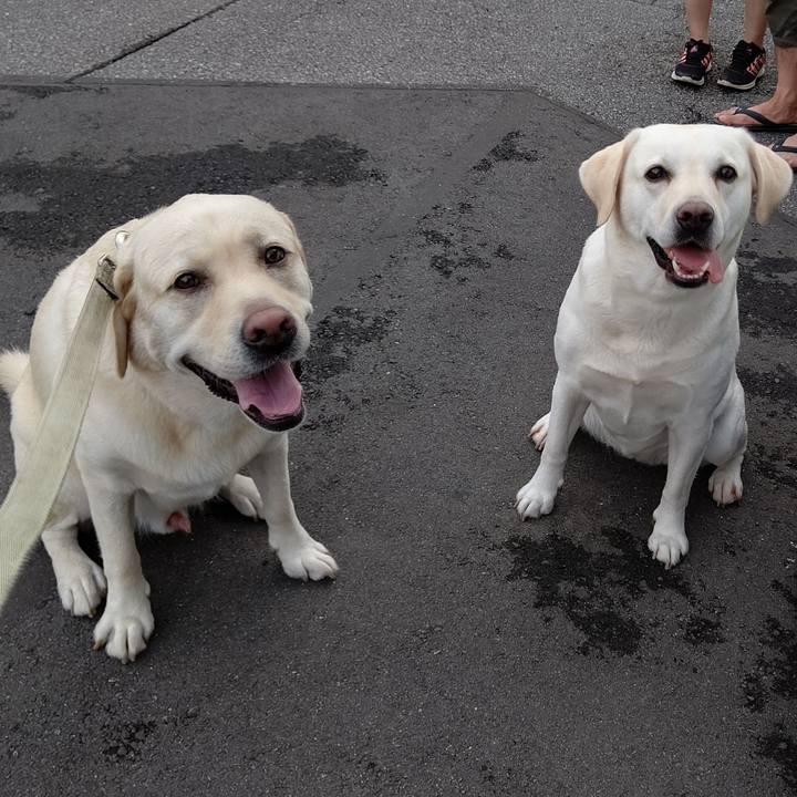 2cd19d6b 7010 4872 9ac9 dfe5cd4d798b 1599003696454