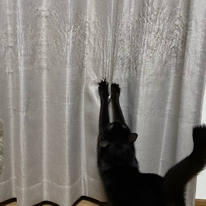 2cd19e16 4f4e 49bc 894a f4b6d05a9adc 1667388513916