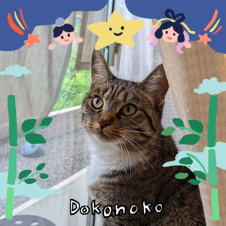 2cd1b494 3a49 4ac0 9715 d4df2647fbc7 1721168008831