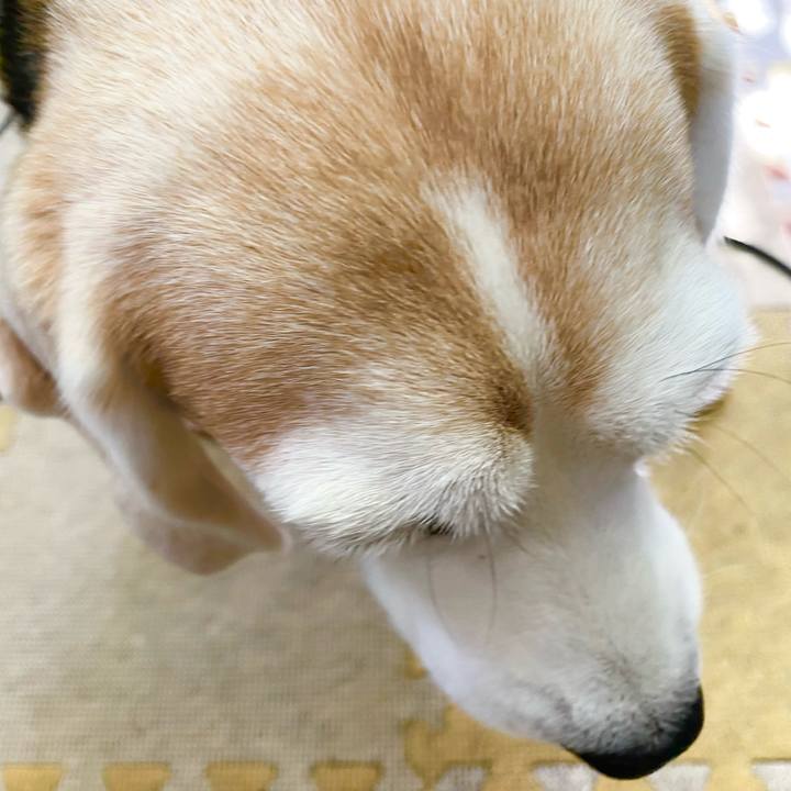 2cd20efd ebb7 4156 ae1a 9a1617b16af9 1637640350762