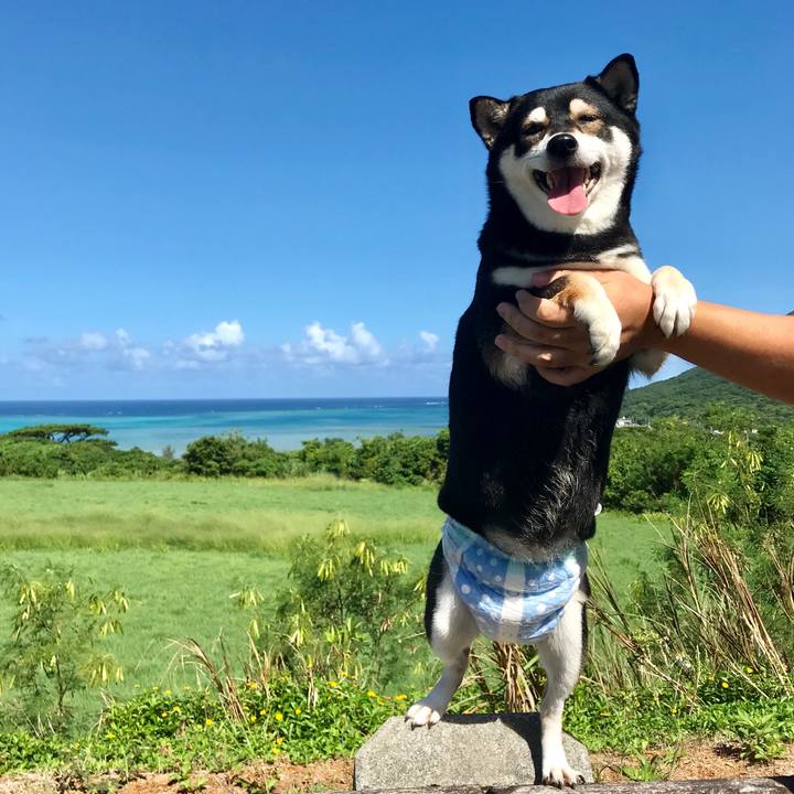 2cd21cce b41c 41b6 a3a1 efc6ee50e5ba 1508205058917