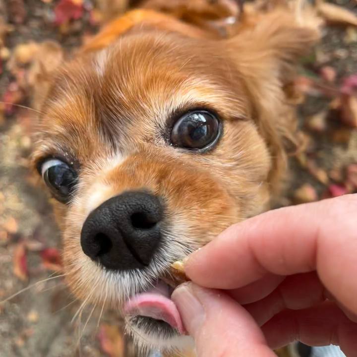 2cd284a5 da4d 4e6b 8ddd 70a9c79f0cdc 1699057249790