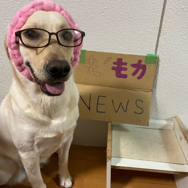 2cd284d5 54ab 44ea b335 059c0b662f81 1655207522684