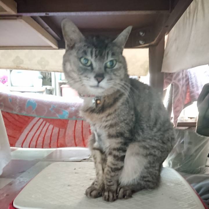 2cd29054 bb8c 46a1 bbcd fc2834a30666 1590615581808