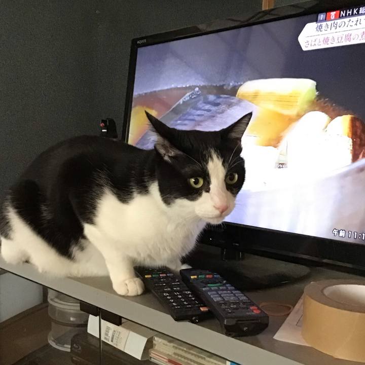 2cd2abf0 f10c 4245 97c4 3dd26835a4c0 1756363925530