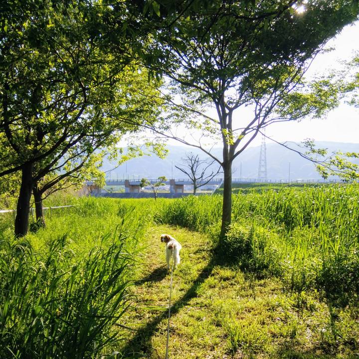 2cd2b56c 4a9f 43cc 856e 29380b0bc9b1 1557187238313