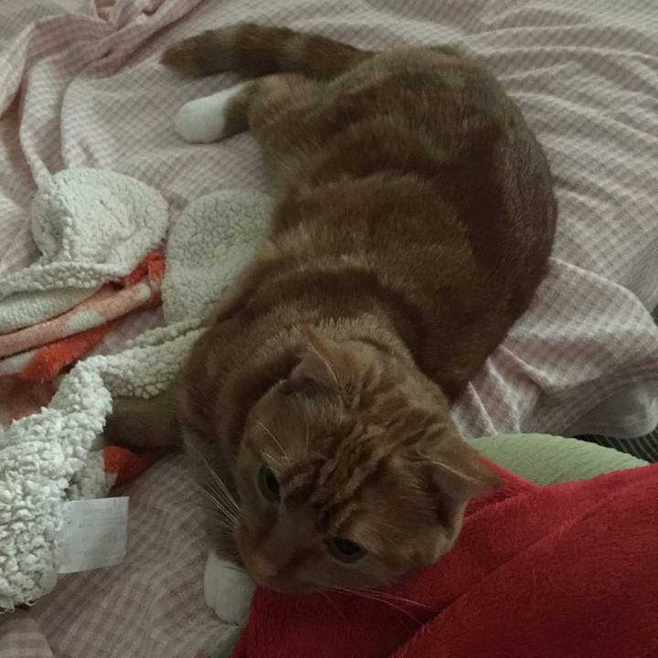 2cd2b85f 7501 4930 8813 d49053c198c5 1527719342089