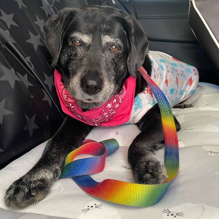 2cd2cb0e 8ed9 40aa 8bf7 f840984ab503 1696302663269