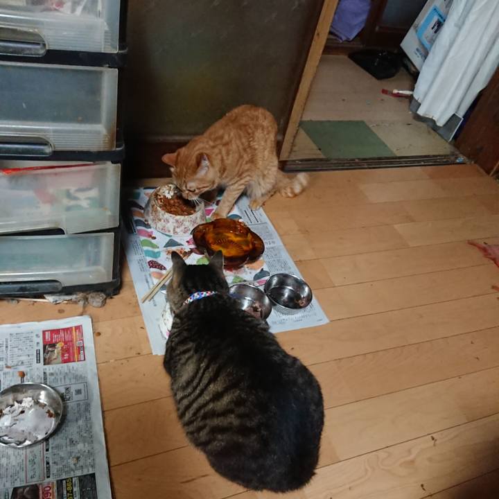 2cd2d09b 8dff 451d b57d a2945757a507 1657015998035