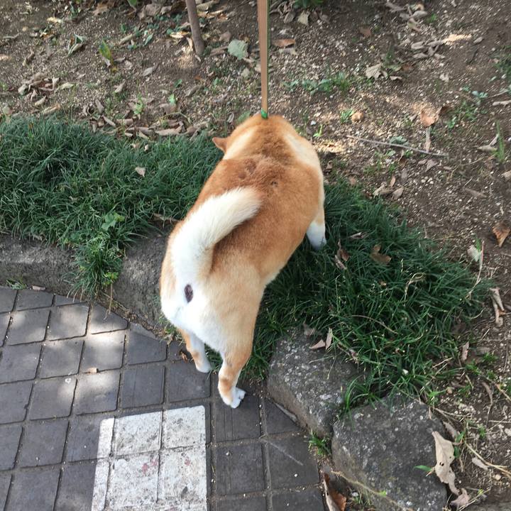 2cd2e490 9d49 41b5 80c3 3edb178ba73f 1601951752486