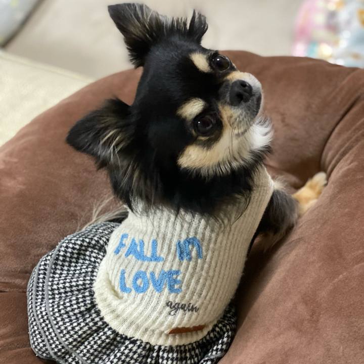 2cd2e99f ab06 4201 82ba 1bd03bfb79b8 1604926411197