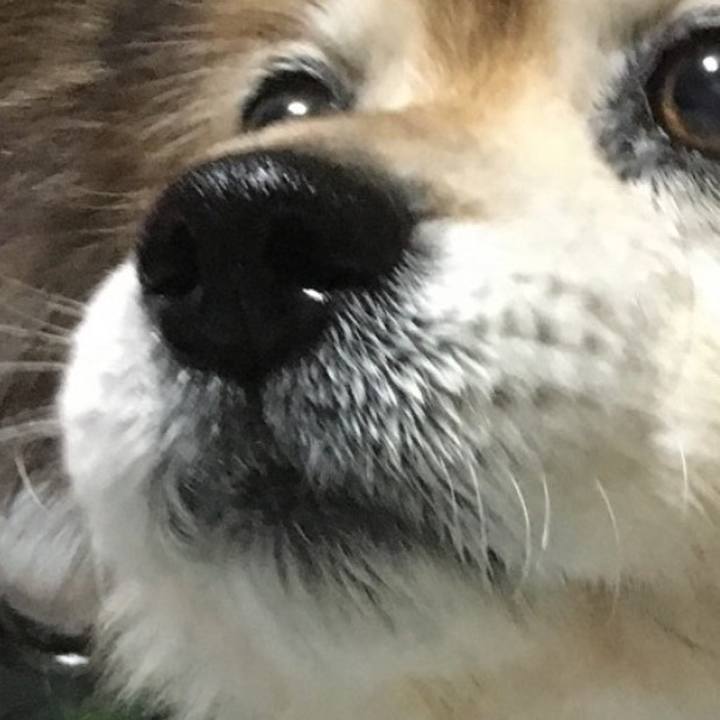 2cd309b8 f2c9 4121 a5da 81e7791813b1 1609918705590