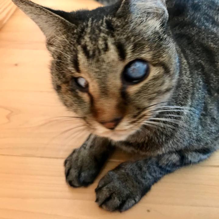 2cd35823 7fd6 463c ab7d 44c87c585707 1573016255602